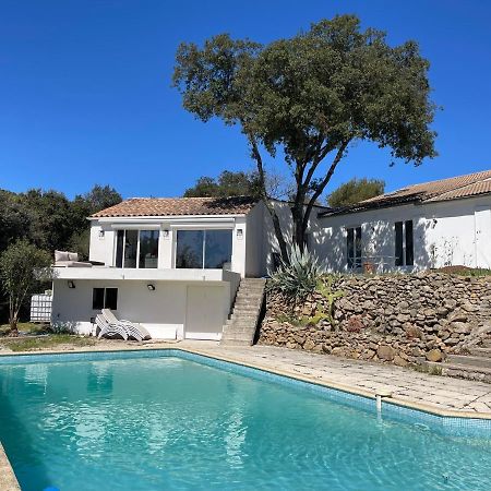 Les Terrasses Des Gardies Bed & Breakfast Pignan Eksteriør bilde