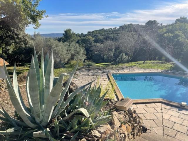 Les Terrasses Des Gardies Bed & Breakfast Pignan Eksteriør bilde